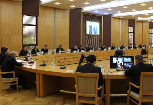 МАГАТЭ и Туркменистан разрабатывают страновую рамочную программу