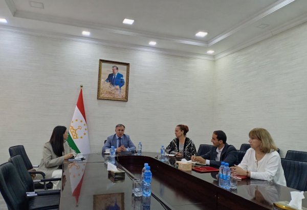 Russia's Wildberries to develop action plan for Tajikistan