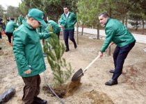 С участием детей шехидов состоялась акция по посадке деревьев (ФОТО)