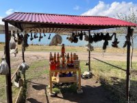 Чарующие красоты Батабатского плато (Фотосессия)