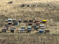 Чарующие красоты Батабатского плато (Фотосессия)