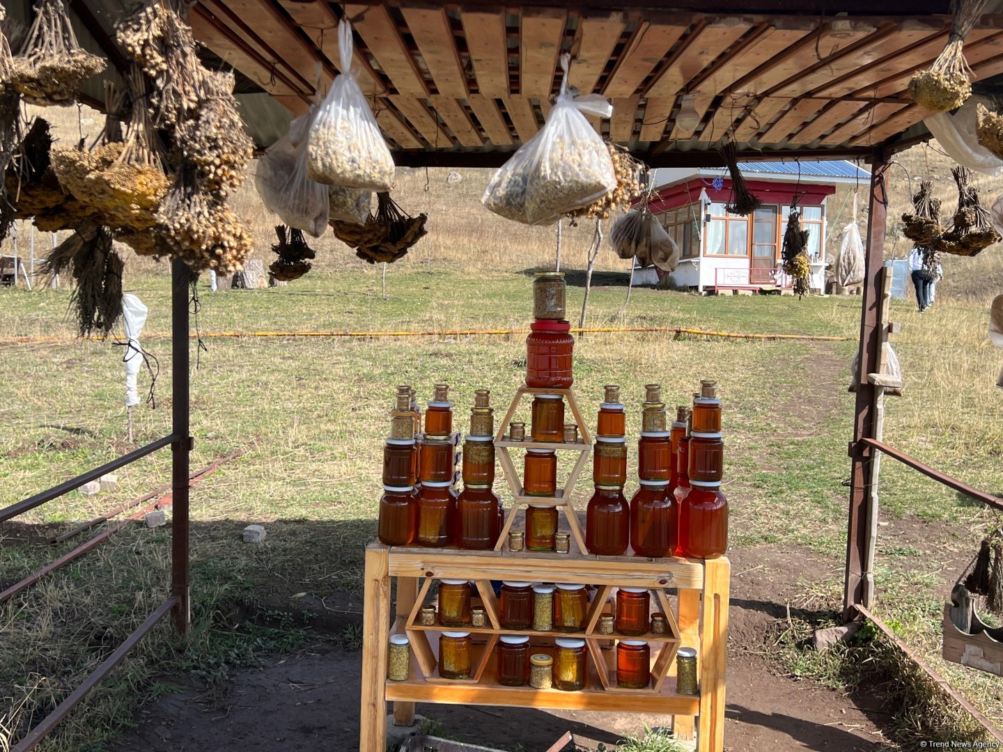 Чарующие красоты Батабатского плато (Фотосессия)