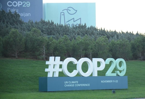 How COP29 affects tourism industry?