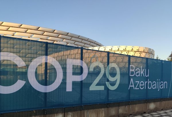 Организованы информационные поездки на Бакинский олимпийский стадион (ВИДЕО)