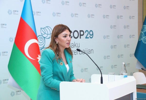 Azerbaijan's Baku Olympic Stadium to be fully available as of November 4 - official