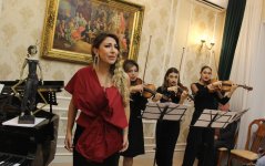 Когда надежда творит чудеса… Очарование экспозиции работ Сакины З.Багировой под классическую музыку (ФОТО)