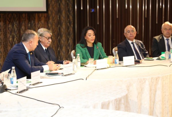 Climate change harms countries' sustainable growth - Azerbaijani ombudsperson (PHOTO)