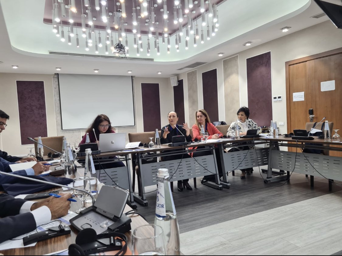 Azerbaijan participates in seminar on fighting Illicit trafficking of cultural property