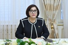 Azerbaijan, Czech Republic debate inter-parliamentary collaboration (PHOTO)