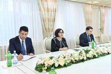 Azerbaijan, Czech Republic debate inter-parliamentary collaboration (PHOTO)