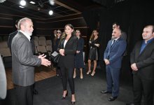 Первый вице-президент Мехрибан Алиева побывала в Азербайджанском государственном театре пантомимы (ФОТО/ВИДЕО)