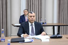 Состоялось очередное заседание Экономического совета Азербайджана (ФОТО)
