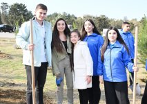 Вице-президент Фонда Гейдара Алиева Лейла Алиева приняла участие в акции по посадке деревьев в Сабунчинском районе города Баку (ФОТО)