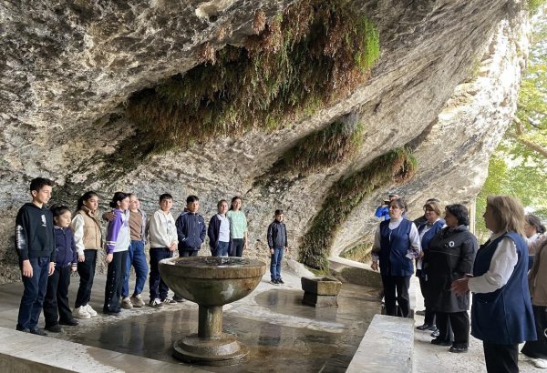 Azerbaijan's state service holds event dedicated to Green World Solidarity Year and COP29 (PHOTO)