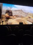 Документальный фильм "Легенда о Хары бюльбюль" покажут в Париже в кинотеатре Rex (ФОТО/ВИДЕО)