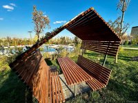 Фотосессия из парка, созданного на бывшей "Советской" в Баку