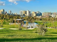 Фотосессия из парка, созданного на бывшей "Советской" в Баку