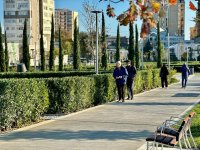Фотосессия из парка, созданного на бывшей "Советской" в Баку