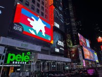 В Нью-Йорке прошла акция, посвященная Дню Победы и Дню Государственного флага (ФОТО)
