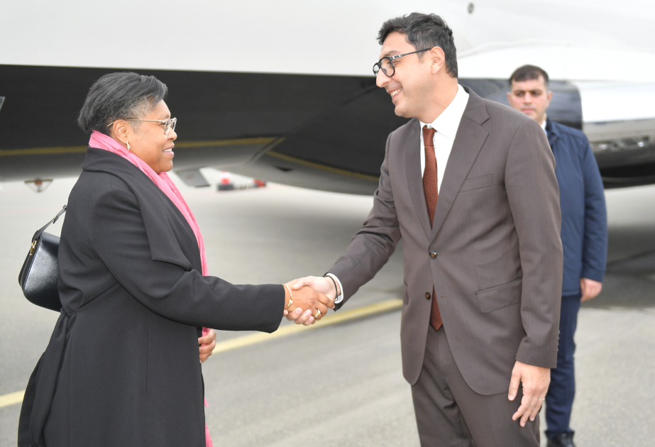 Congolese Prime Minister visits Azerbaijan to participate in COP29