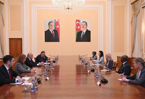 Azerbaijani PM meets with UNICEF Executive Director