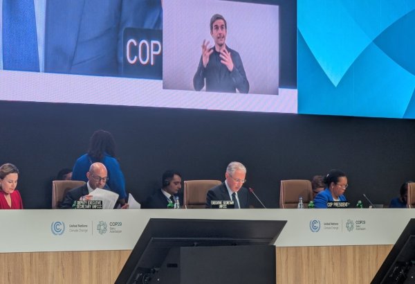 Azerbaijan approves COP29 agenda