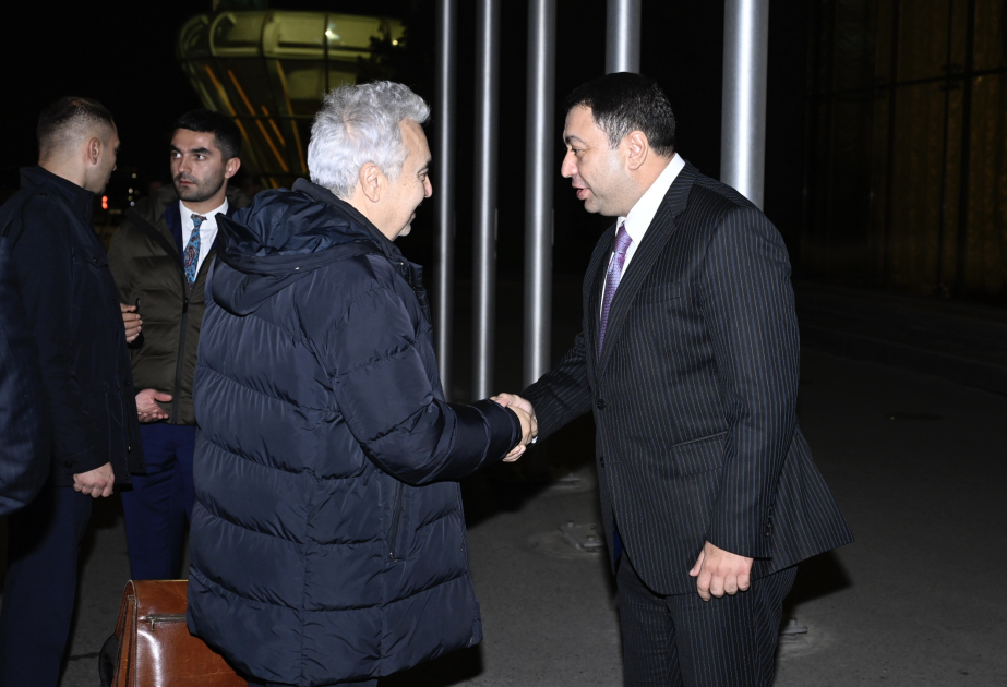 Executive Director of International Energy Agency arrives in Azerbaijan