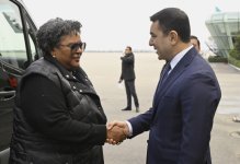 Премьер-министр Барбадоса прибыла с визитом в Азербайджан для участия в COP29