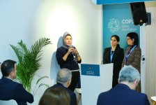 Эко-социальный центр "Экосфера" представил свои программы на COP29 (ФОТО)