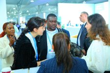 Эко-социальный центр "Экосфера" представил свои программы на COP29 (ФОТО)