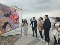 На Бакинском бульваре в рамках COP29 открылась экспозиция по защите морских видов (ФОТО)
