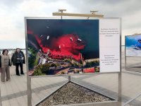 На Бакинском бульваре в рамках COP29 открылась экспозиция по защите морских видов (ФОТО)