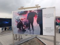 На Бакинском бульваре в рамках COP29 открылась экспозиция по защите морских видов (ФОТО)