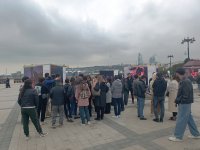 На Бакинском бульваре в рамках COP29 открылась экспозиция по защите морских видов (ФОТО)
