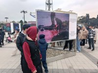 На Бакинском бульваре в рамках COP29 открылась экспозиция по защите морских видов (ФОТО)