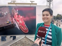 На Бакинском бульваре в рамках COP29 открылась экспозиция по защите морских видов (ФОТО)
