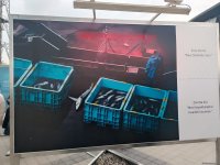 На Бакинском бульваре в рамках COP29 открылась экспозиция по защите морских видов (ФОТО)