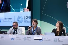 В Баку состоялась пресс-конференция в рамках CO29 (ФОТО)