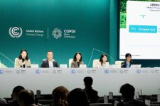 COP29 hosts panel discussion on subnational climate change action (PHOTO)