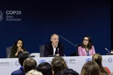 В рамках COP29 прошла панельная дискуссия в связи с углеродными рынками (ФОТО)