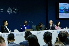 В рамках COP29 прошла панельная дискуссия в связи с углеродными рынками (ФОТО)