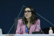 В рамках COP29 прошла панельная дискуссия в связи с углеродными рынками (ФОТО)