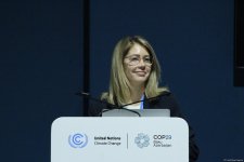 В рамках COP29 прошла панельная дискуссия в связи с углеродными рынками (ФОТО)