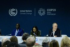 В рамках COP29 прошла панельная дискуссия в связи с углеродными рынками (ФОТО)