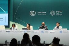 В рамках COP29 состоялась панельная дискуссия на тему "Глобальная кампания по требованию климатической справедливости" (ФОТО)