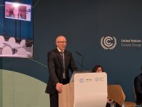 В рамках COP29 состоялась панельная дискуссия "Использование внутреннего развития для поддержки перехода к регенеративным и расширяющим возможности городам" (ФОТО)