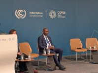 В рамках COP29 состоялась панельная дискуссия "Использование внутреннего развития для поддержки перехода к регенеративным и расширяющим возможности городам" (ФОТО)