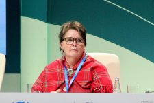 Global South countries demand non-debt-based climate finance - YOUNGO (PHOTO)