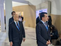 Гендиректор ИСЕСКО ознакомился с павильоном Азербайджана на СОР29 (ФОТО)
