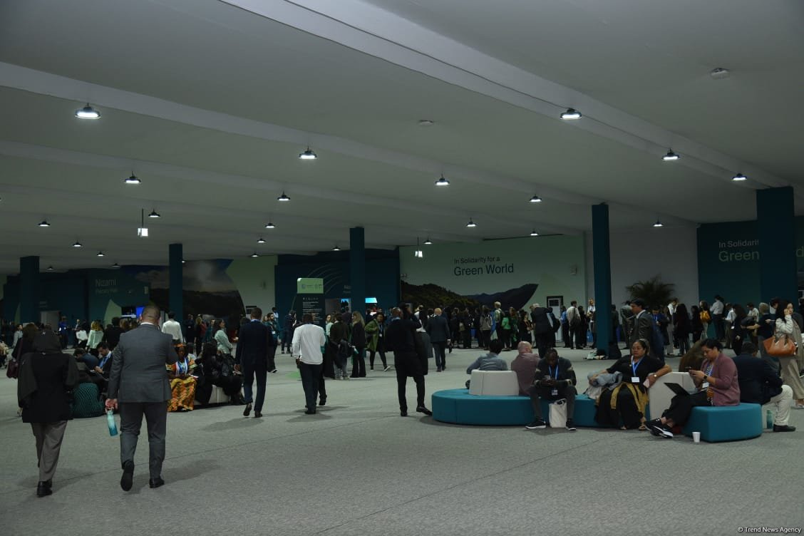 Фотосессия с COP29 в Баку